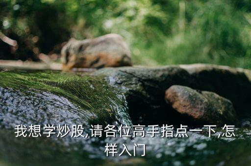 我想學(xué)炒股,請各位高手指點(diǎn)一下,怎樣入門