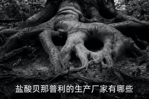 鹽酸貝那普利的生產(chǎn)廠(chǎng)家有哪些