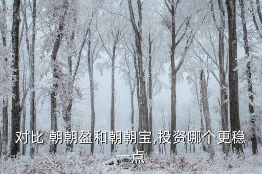對比 朝朝盈和朝朝寶,投資哪個(gè)更穩(wěn)一點(diǎn)