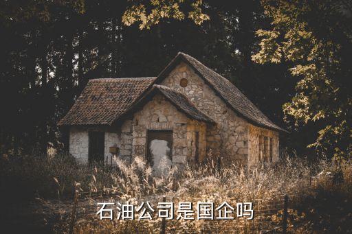 石油公司是國(guó)企嗎