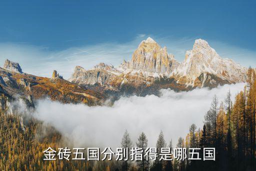 金磚國(guó)家開發(fā)銀行總部設(shè)在,宣布成立金磚國(guó)家開發(fā)銀行總部設(shè)在