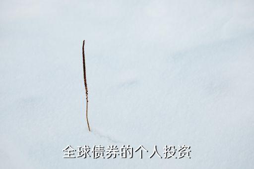 全球債券的個人投資