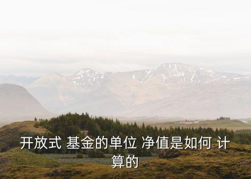 開(kāi)放式 基金的單位 凈值是如何 計(jì)算的