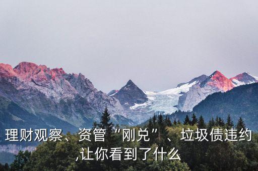 理財觀察、資管“剛兌”、垃圾債違約,讓你看到了什么