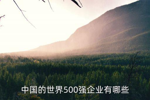 中國(guó)的大公司有哪些,中國(guó)主要汽車公司有哪些