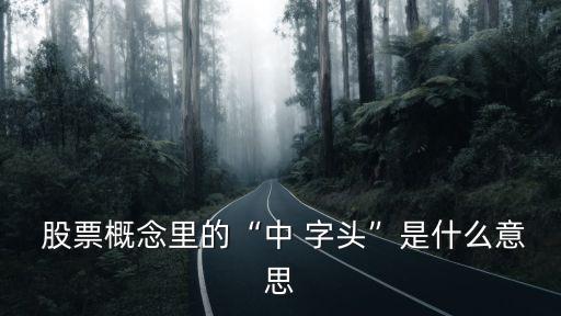 低價中字頭股票,中字頭股票一覽表