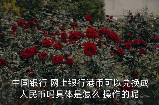 中國(guó)銀行網(wǎng)上結(jié)匯操作