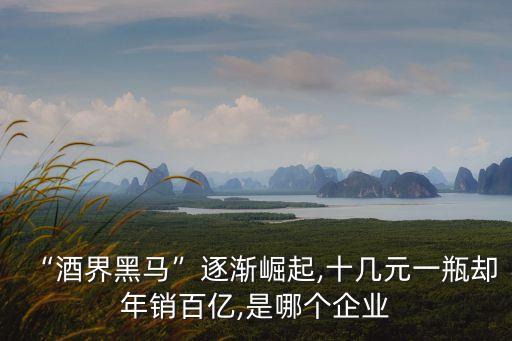 勁酒集團(tuán)為啥不上市,湖北勁酒集團(tuán)有限公司上市