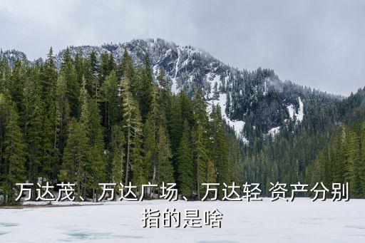 萬達(dá)茂、萬達(dá)廣場、萬達(dá)輕 資產(chǎn)分別指的是啥