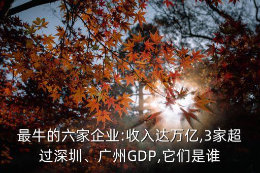 最牛的六家企業(yè):收入達(dá)萬億,3家超過深圳、廣州GDP,它們是誰