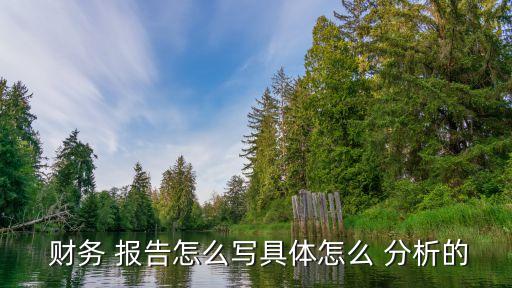  財務(wù) 報告怎么寫具體怎么 分析的
