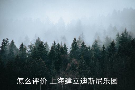 怎么評價(jià) 上海建立迪斯尼樂園