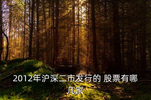 2012年滬深二市發(fā)行的 股票有哪幾家