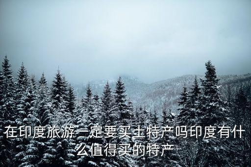 在印度旅游一定要買土特產嗎印度有什么值得買的特產