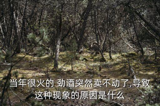 當(dāng)年很火的 勁酒突然賣不動了,導(dǎo)致這種現(xiàn)象的原因是什么