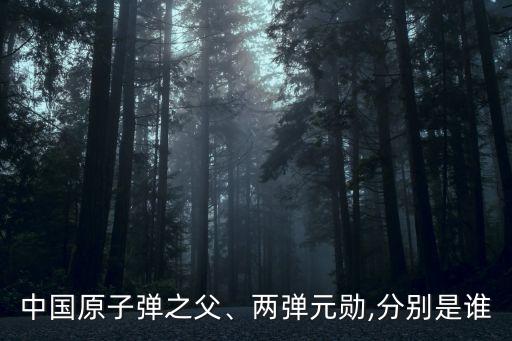 中國原子彈之父、兩彈元勛,分別是誰