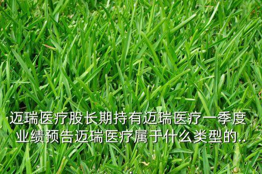 2015年一季報(bào)業(yè)績高增長股票