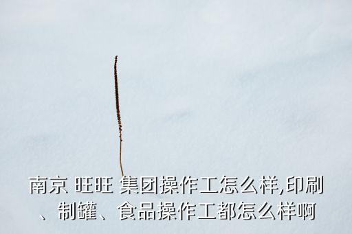 南京 旺旺 集團(tuán)操作工怎么樣,印刷、制罐、食品操作工都怎么樣啊