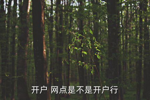 星級網(wǎng)點銀行廳堂圖片,銀行網(wǎng)點廳堂服務(wù)發(fā)展建議