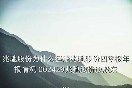 兆馳股份為什么猛漲兆馳股份四季報(bào)年報(bào)情況 002429兆馳股份股股東...