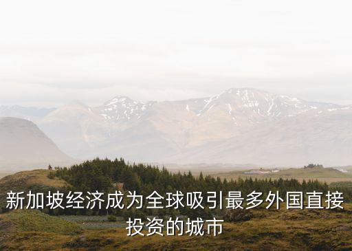 新加坡經(jīng)濟(jì)成為全球吸引最多外國直接投資的城市