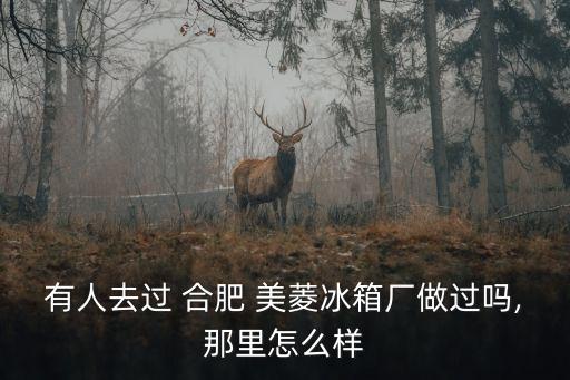 有人去過(guò) 合肥 美菱冰箱廠做過(guò)嗎,那里怎么樣
