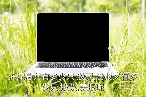 股票的數量,發(fā)行股票的數量