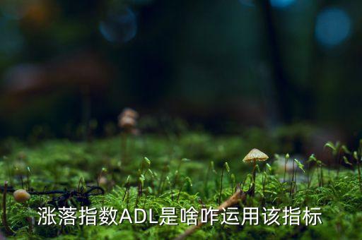 數(shù)量關(guān)系某只股票7月份,組合風(fēng)險與股票數(shù)量的關(guān)系