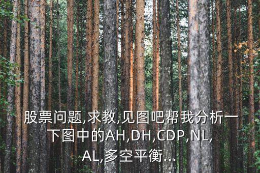  股票問(wèn)題,求教,見(jiàn)圖吧幫我分析一下圖中的AH,DH,CDP,NL,AL,多空平衡...