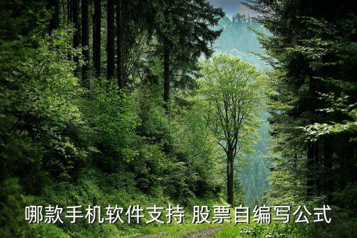 哪款手機(jī)軟件支持 股票自編寫(xiě)公式