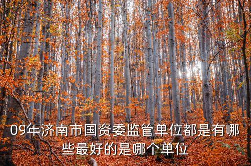 09年濟(jì)南市國(guó)資委監(jiān)管單位都是有哪些最好的是哪個(gè)單位
