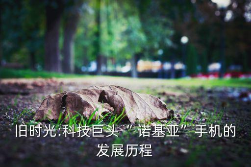 諾基亞被哪家公司收購(gòu),東芝給哪家公司收購(gòu)了