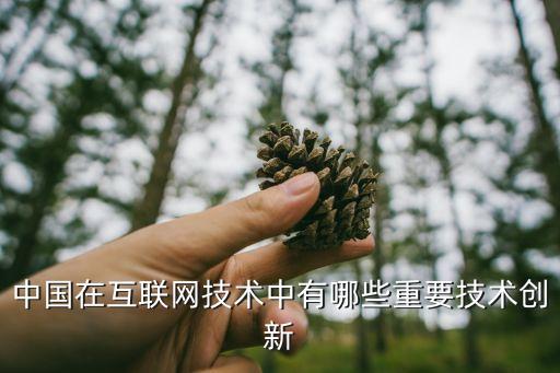 中國在互聯(lián)網(wǎng)技術中有哪些重要技術創(chuàng)新