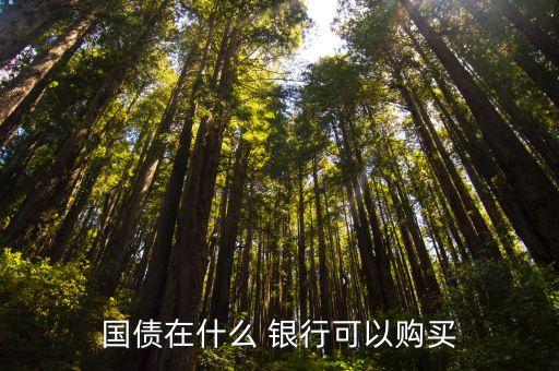 國(guó)債在什么 銀行可以購(gòu)買