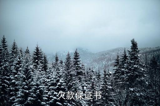 欠款保證書(shū)