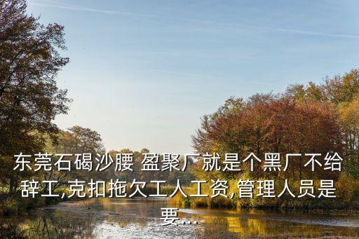 東莞石碣沙腰 盈聚廠(chǎng)就是個(gè)黑廠(chǎng)不給辭工,克扣拖欠工人工資,管理人員是要...
