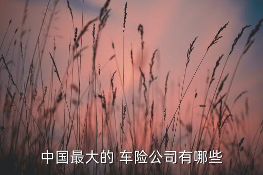 中國(guó)最大的 車險(xiǎn)公司有哪些