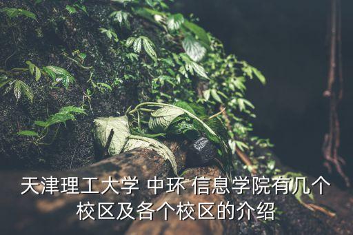 天津理工大學 中環(huán) 信息學院有幾個校區(qū)及各個校區(qū)的介紹