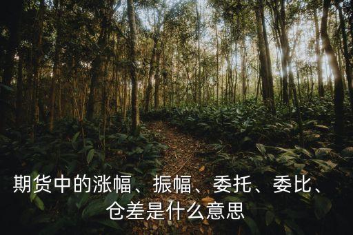 期貨中的漲幅、振幅、委托、委比、 倉(cāng)差是什么意思