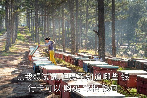 ...我想試試,但是不知道哪些 銀行卡可以 購(gòu)買 掌柜 錢(qián)包