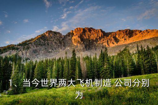 1、當(dāng)今世界兩大飛機(jī)制造 公司分別為