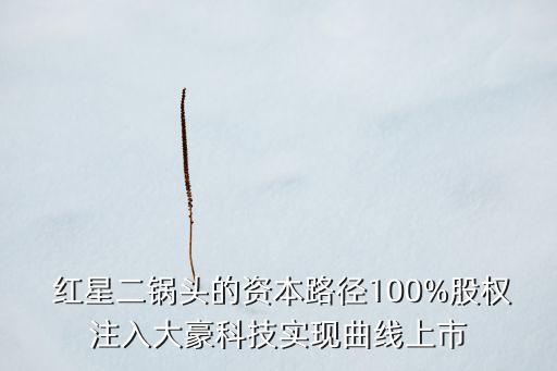  紅星二鍋頭的資本路徑100%股權(quán)注入大豪科技實現(xiàn)曲線上市