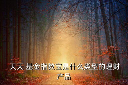 天天 基金指數(shù)寶是什么類(lèi)型的理財(cái)產(chǎn)品