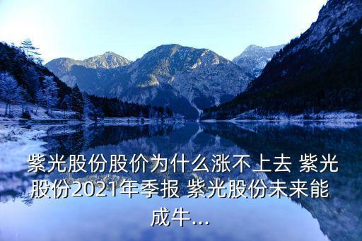  紫光股份股價(jià)為什么漲不上去 紫光股份2021年季報(bào) 紫光股份未來(lái)能成牛...