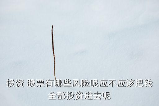 投資 股票有哪些風(fēng)險(xiǎn)呢應(yīng)不應(yīng)該把錢全部投資進(jìn)去呢