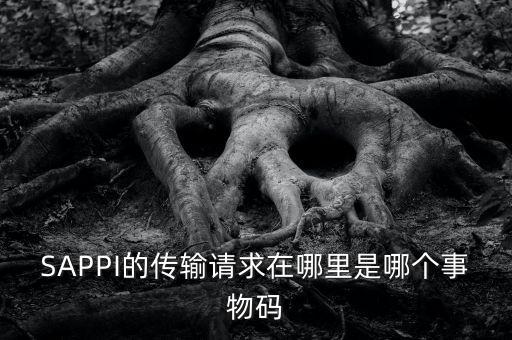 SAPPI的傳輸請(qǐng)求在哪里是哪個(gè)事物碼