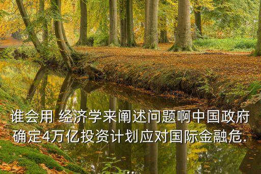 誰會用 經(jīng)濟(jì)學(xué)來闡述問題啊中國政府確定4萬億投資計劃應(yīng)對國際金融危...