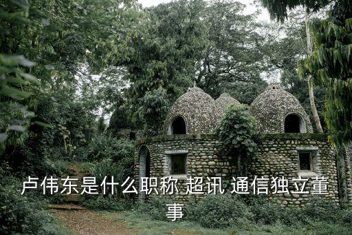 盧偉東是什么職稱(chēng) 超訊 通信獨(dú)立董事