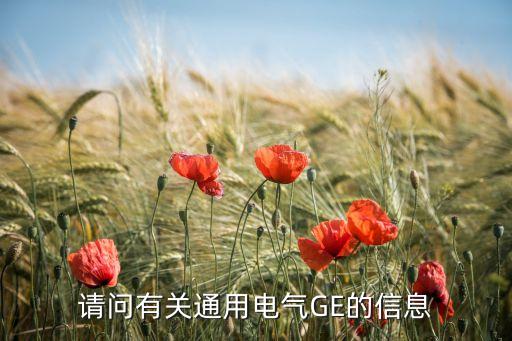 請(qǐng)問(wèn)有關(guān)通用電氣GE的信息