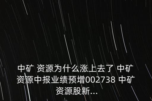  中礦 資源為什么漲上去了 中礦 資源中報業(yè)績預(yù)增002738 中礦 資源股新...